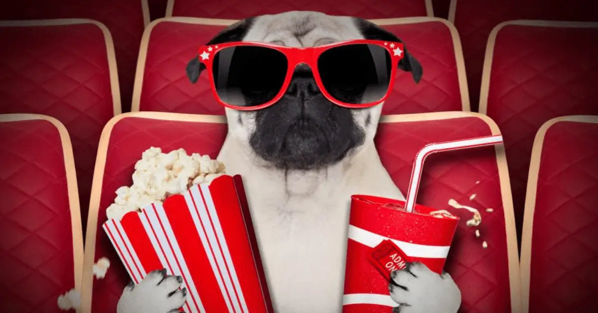 Dog best sale wala cartoon