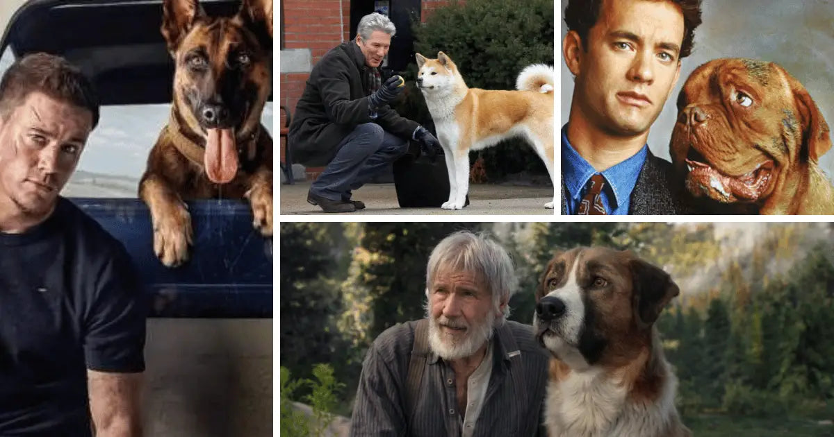 Dog movies hot sale list