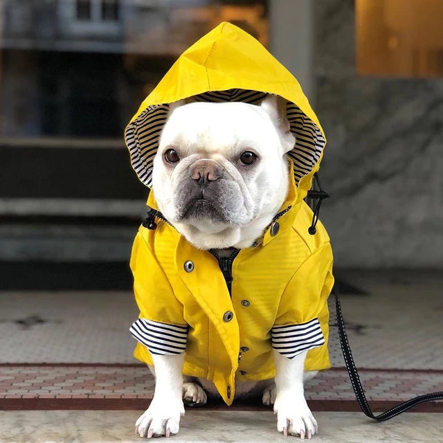 Dog Raincoat Quality Waterproof DogLooksGood