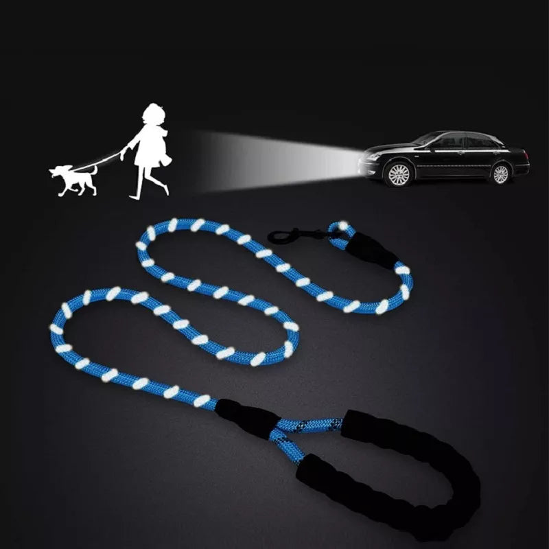 Blue Dog Leash