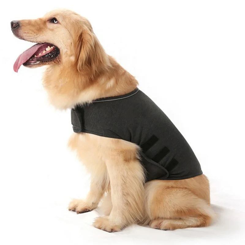 Dog 2025 anxiety vest
