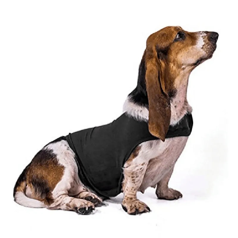 Dog Anxiety Vest