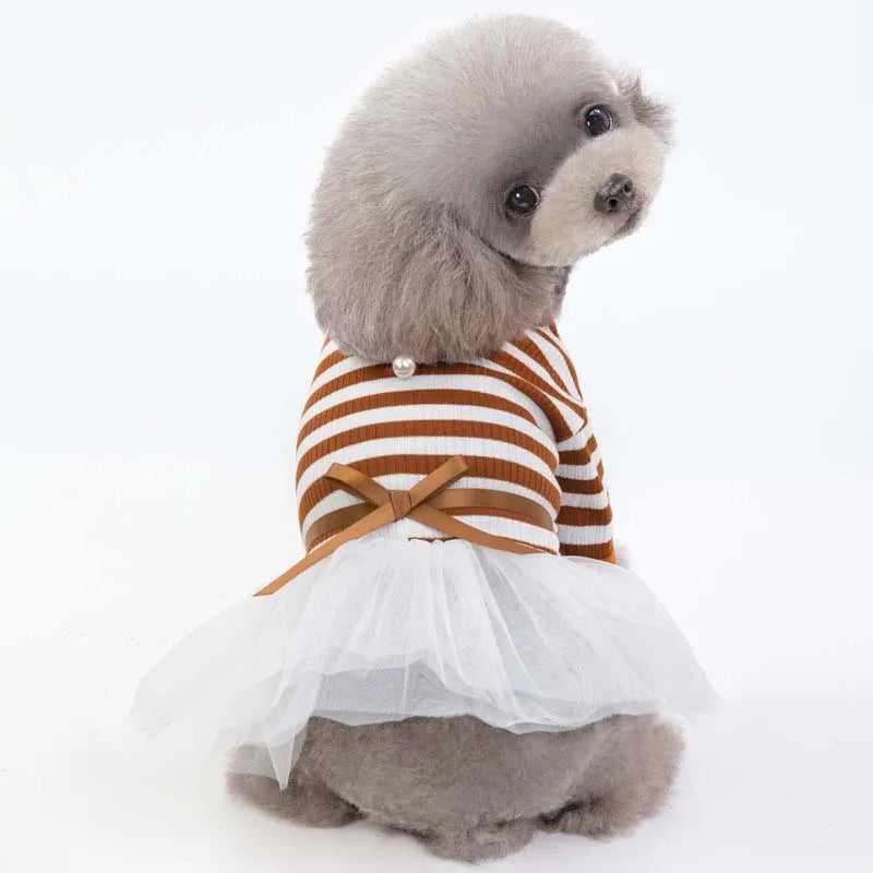 Cute Dog Dresses