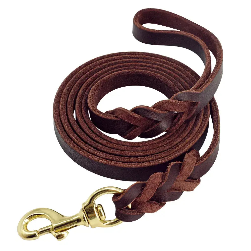 Braided Leather Dog Leash