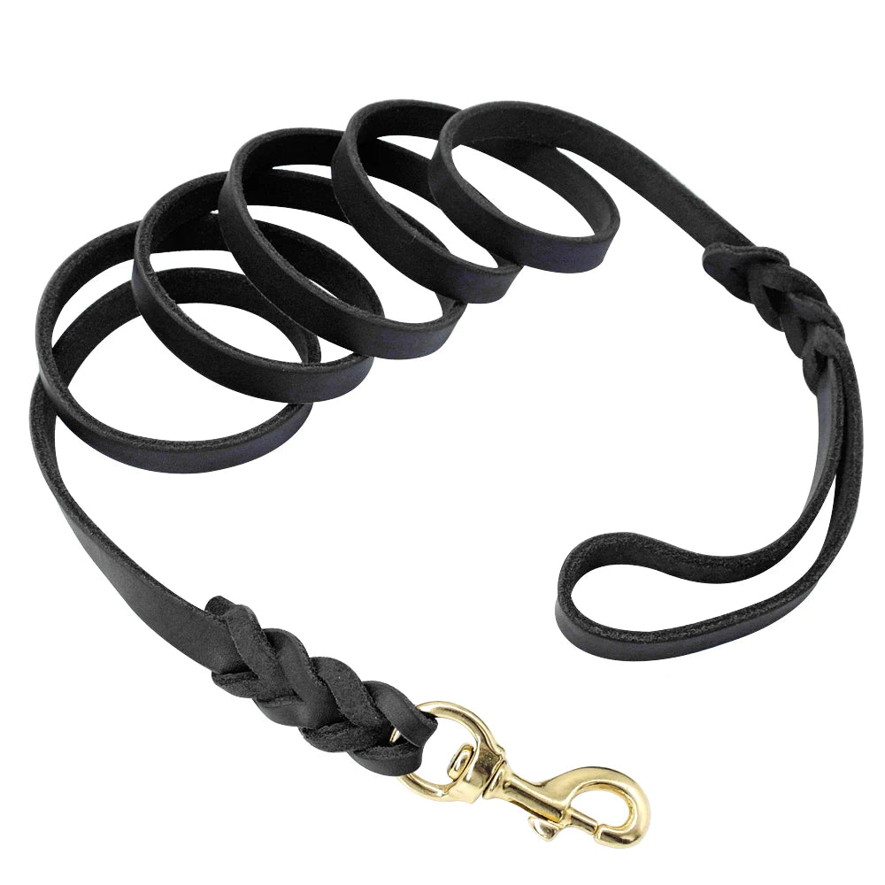 Braided Leather Dog Leash