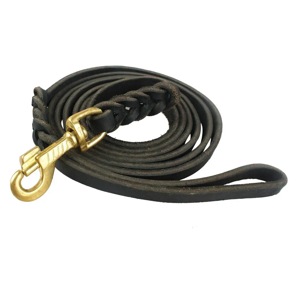 Braided Leather Dog Leash