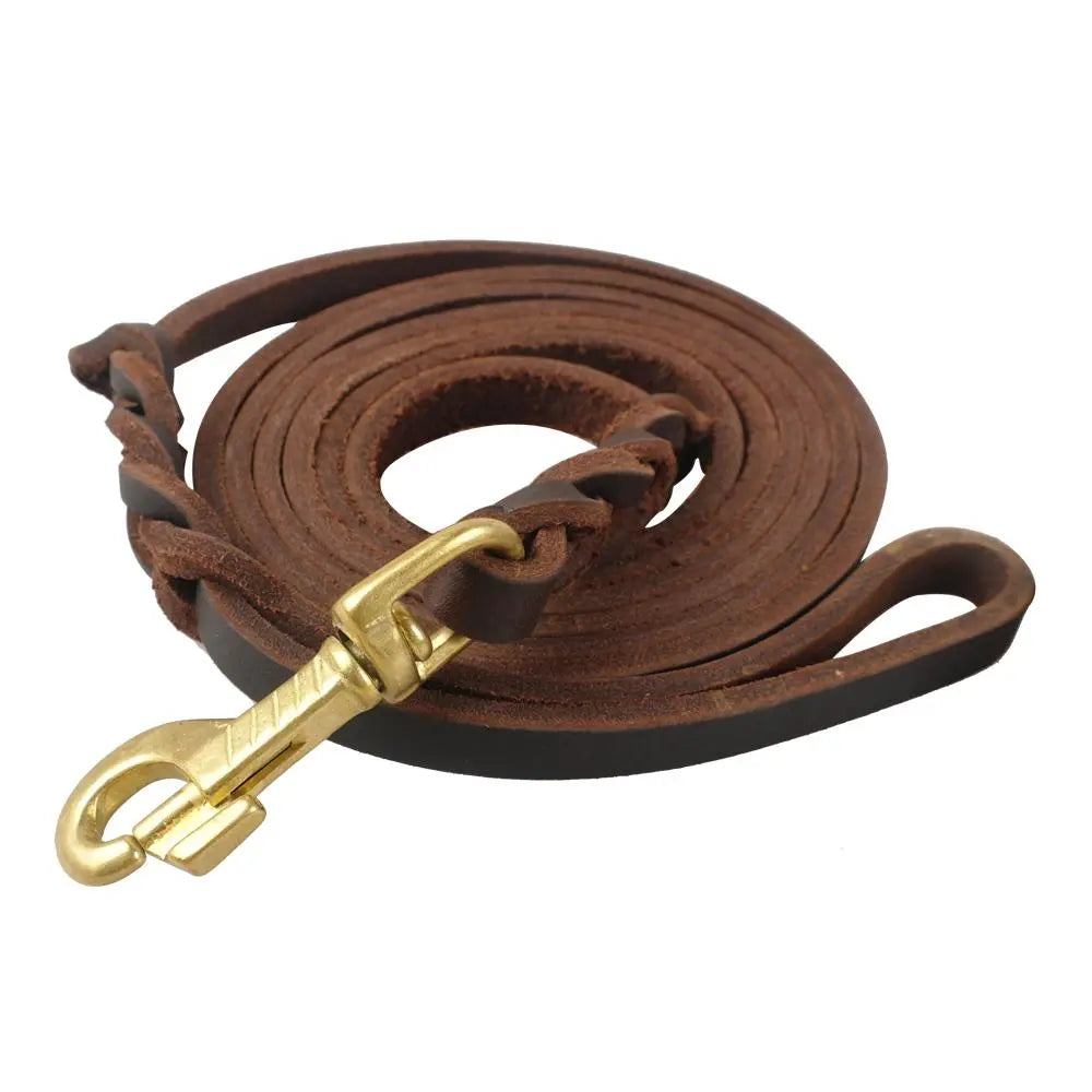 Braided Leather Dog Leash