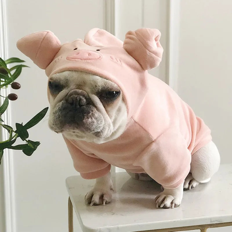 Dog Piggy Costume