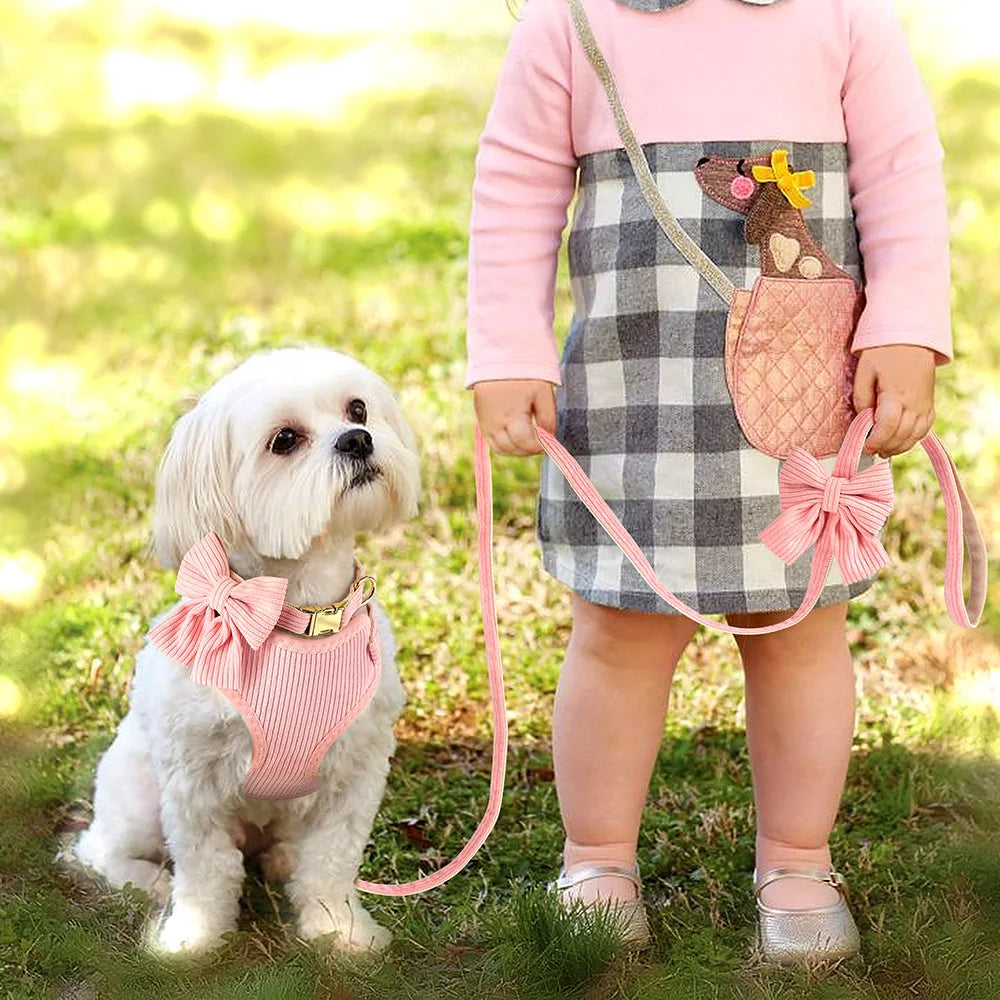 Pink Harness For Small Dogs
