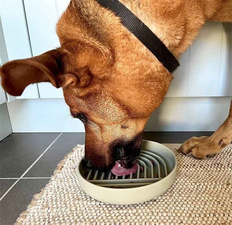 Slow Feeder For Dog