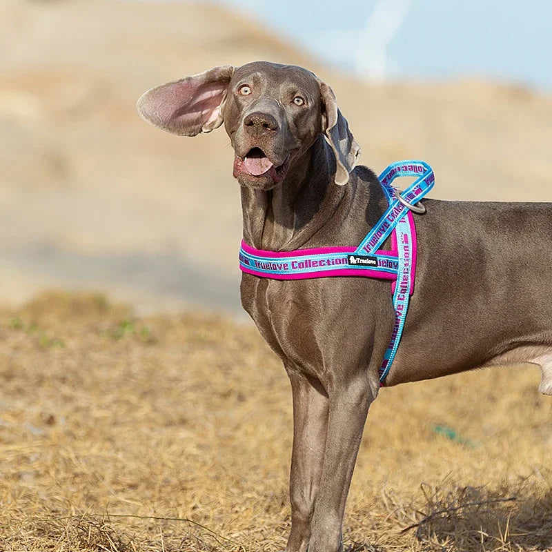 No Pull Padded Dog Harness