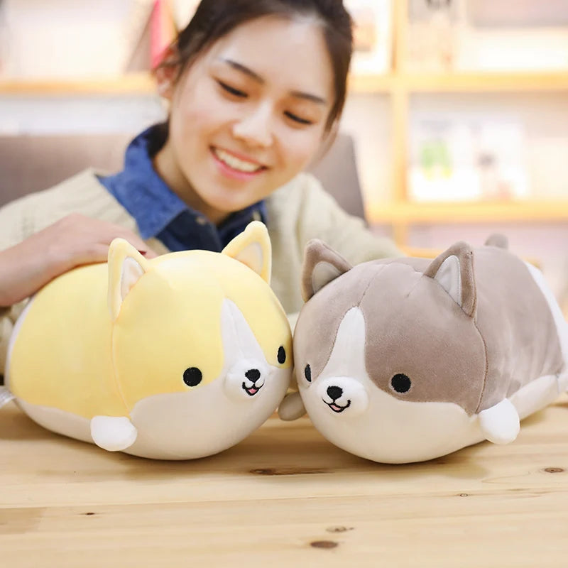 Corgi Plush