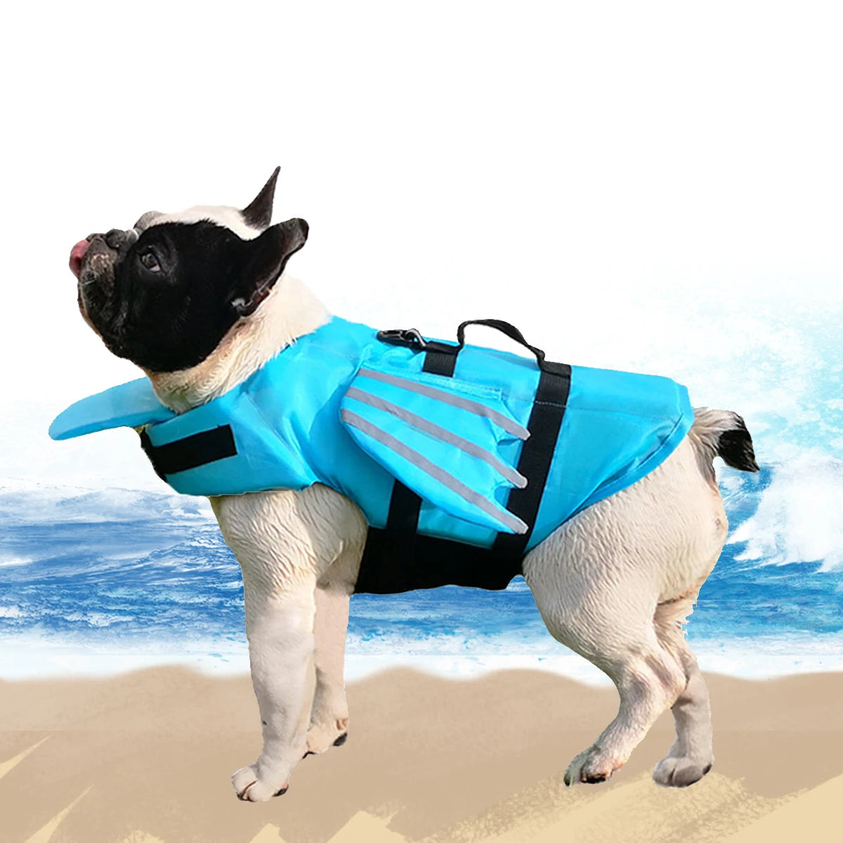 Life Jacket Dog
