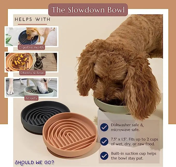 Slow Feeder For Dog