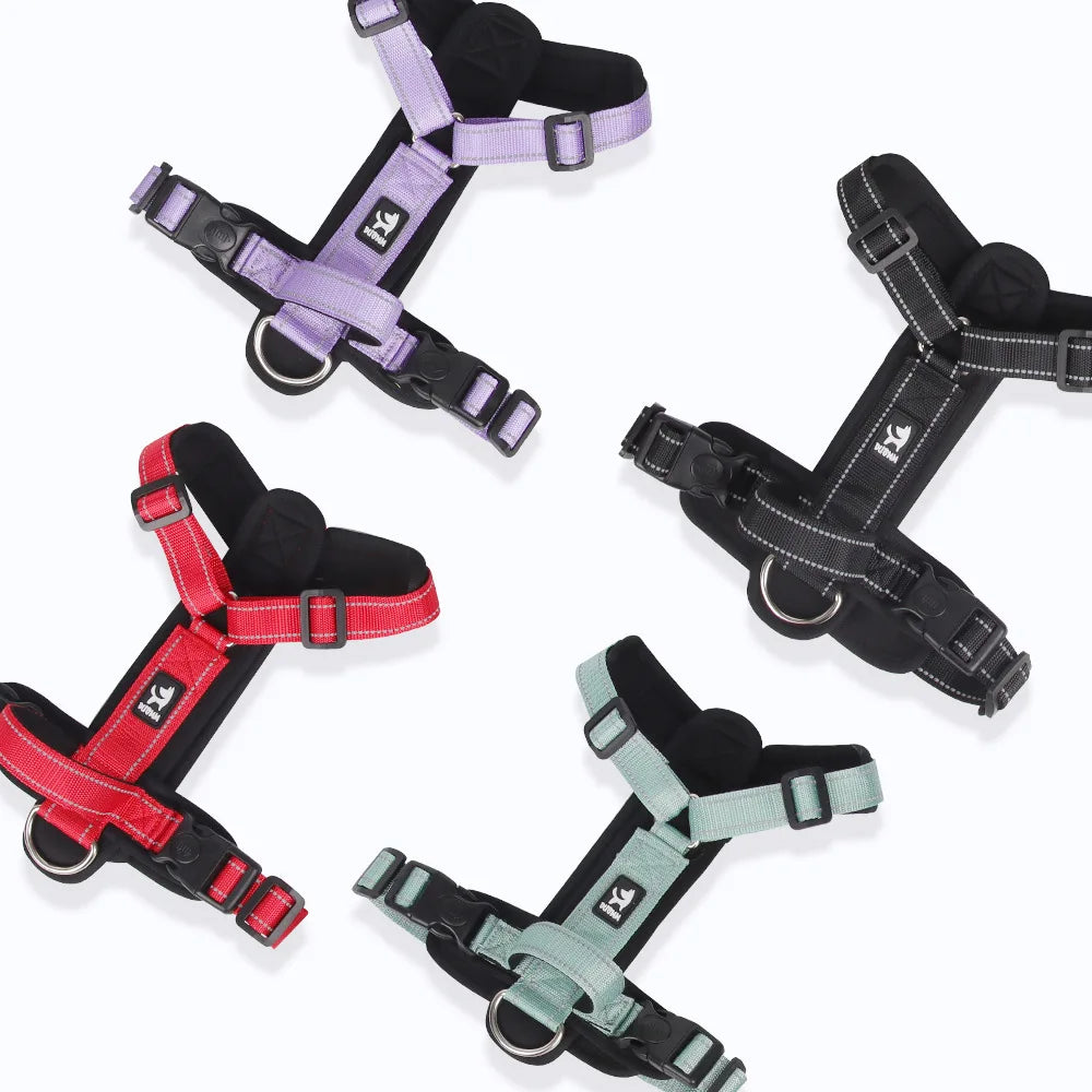 Dog Harness With Handle