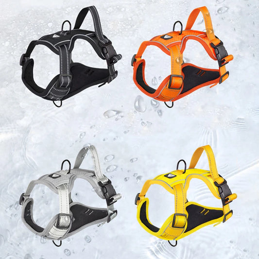 Adjustable Dog Harness