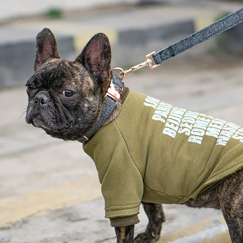 Metal Buckle Dog Collar