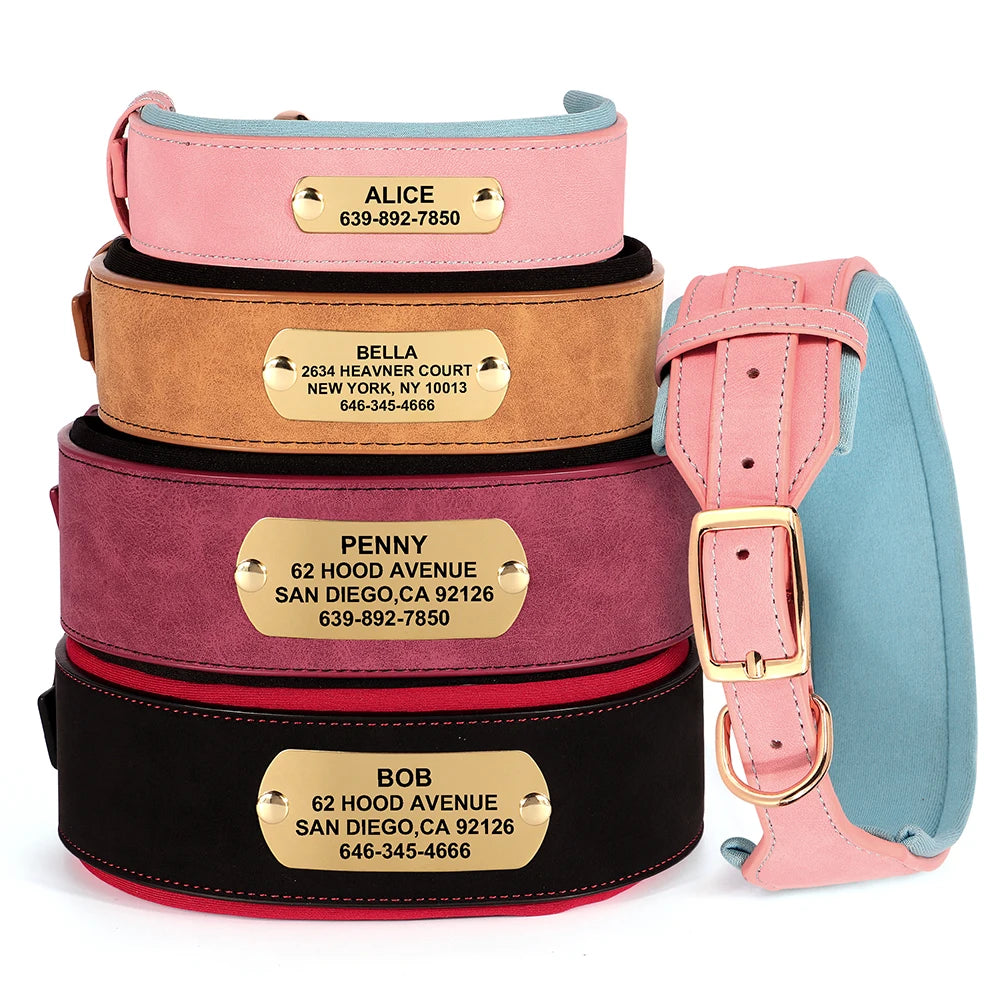 Personalized Dog Collar