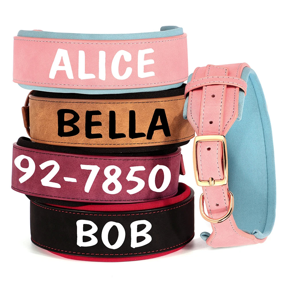 Personalized Dog Collar With Name
