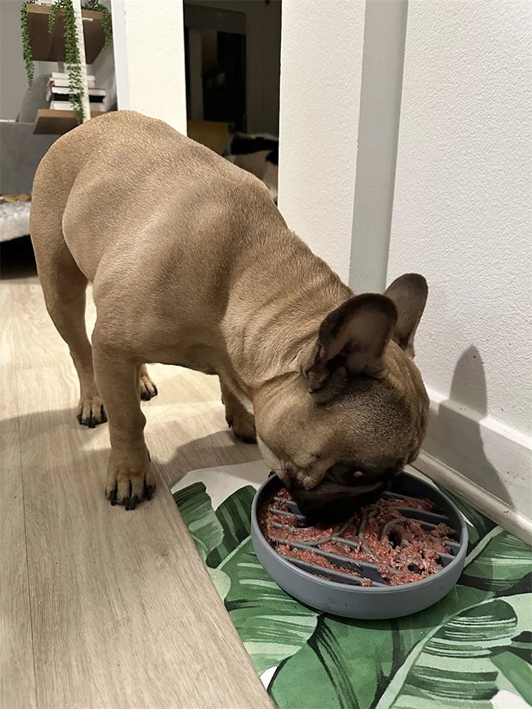Slow Feeder For Dog