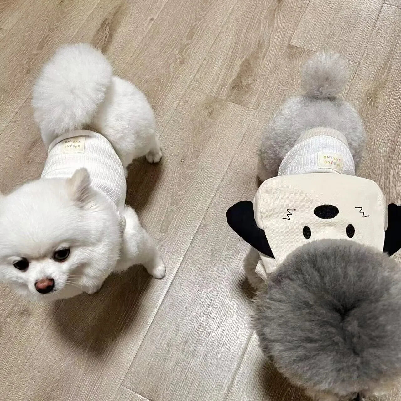 Cute Backpack For Small Dogs
