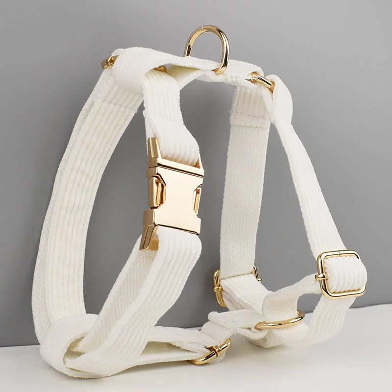 White Dog Harness