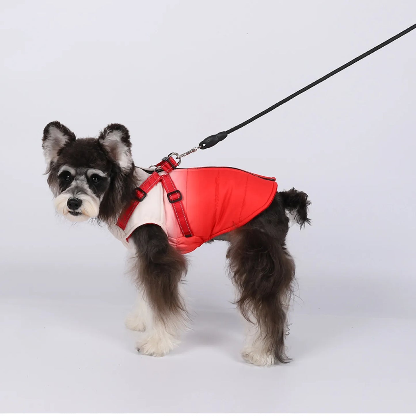 Waterproof Dog Jacket With Harness