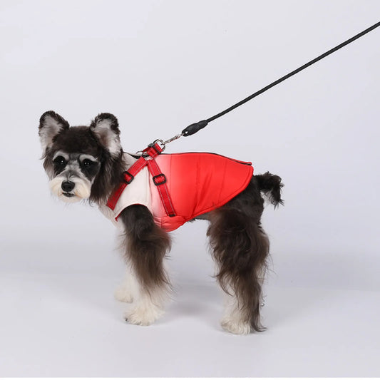 Waterproof Dog Jacket With Harness