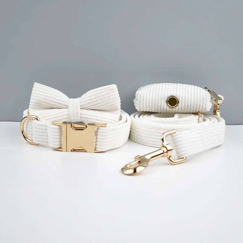 White Dog Harness
