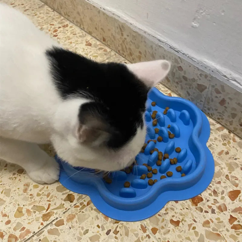 Slow Feeder Bowls For Dogs