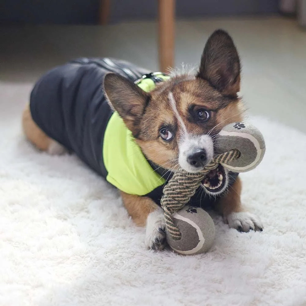 Cotton Rope Toy For Dog