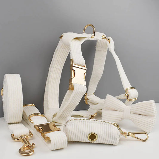 White Dog Harness