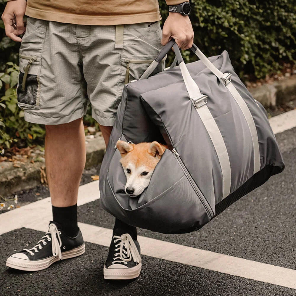 Dog Car Seats
