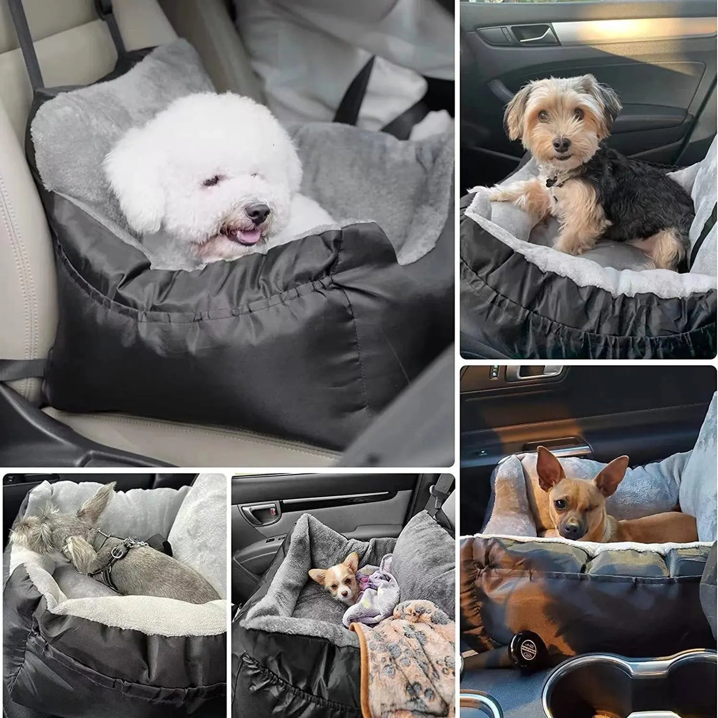 Small Dog Car Seat