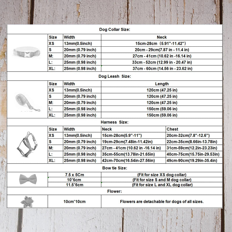 White Dog Harness