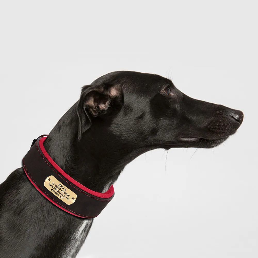 Personalized Dog Collar