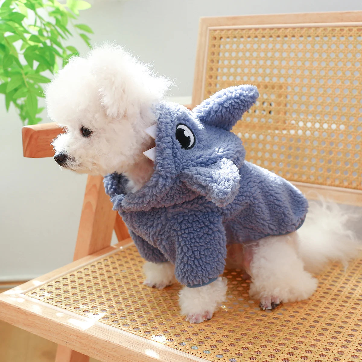 Shark Dog Costume
