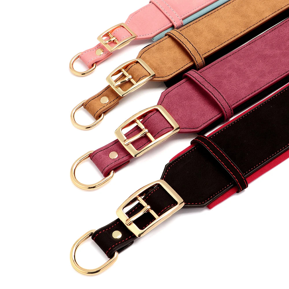 Personalized Dog Collar