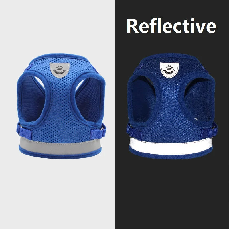 Blue Dog Harness