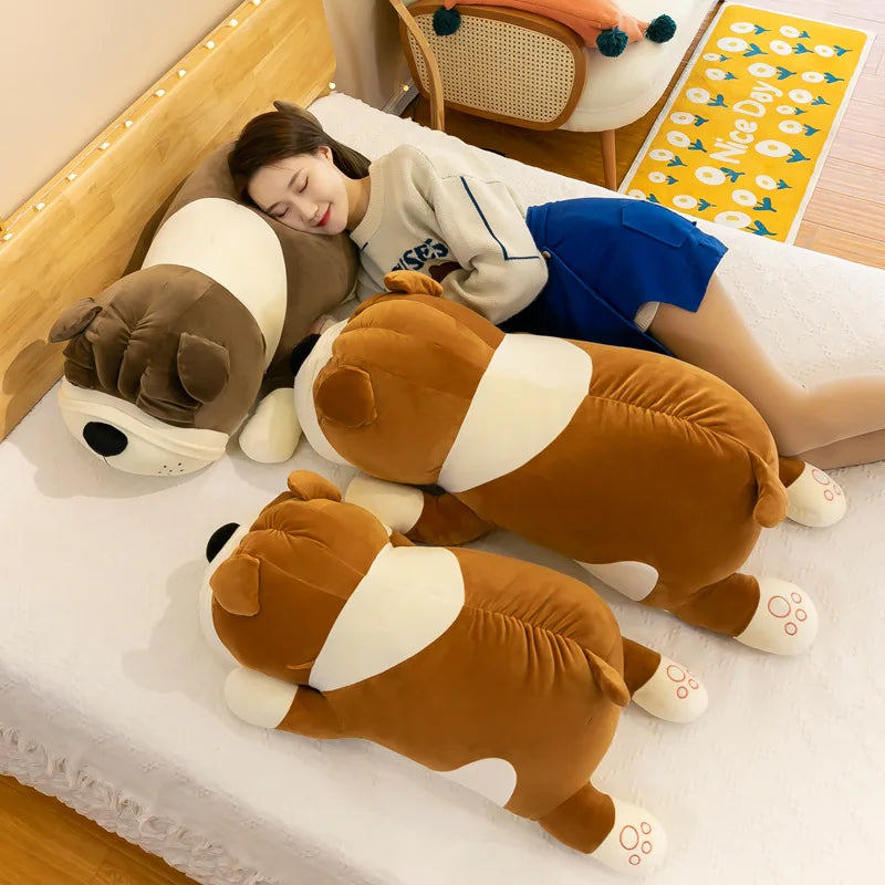 Shar Pei Plush Toy