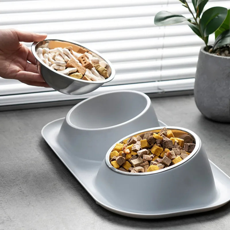 Dog Food And Water Bowls