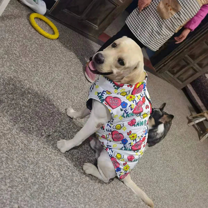 Dog Jacket Waterproof