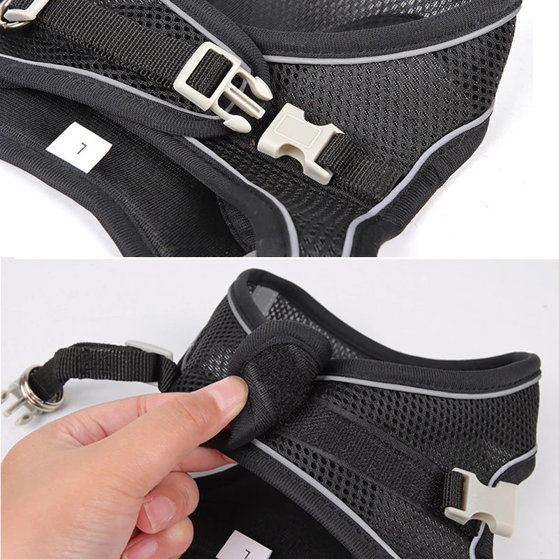 Comfort Harness For Small Dogs