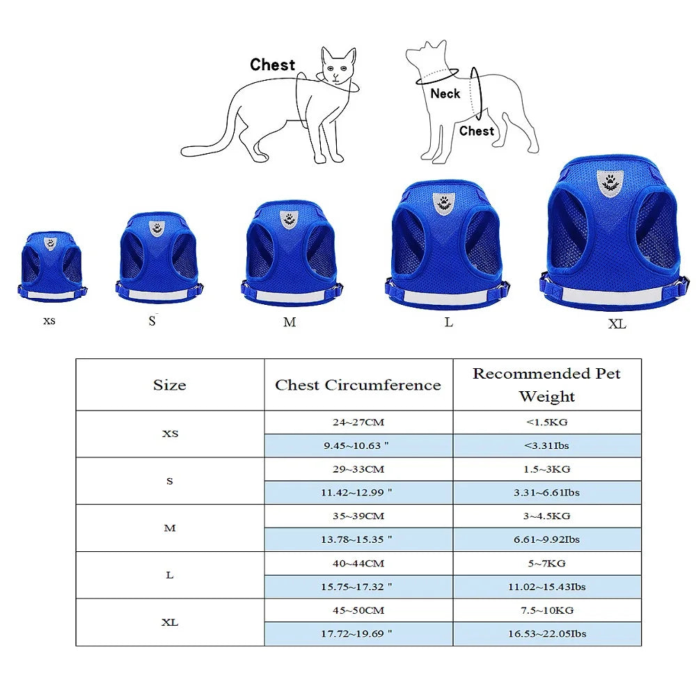 Blue Dog Harness