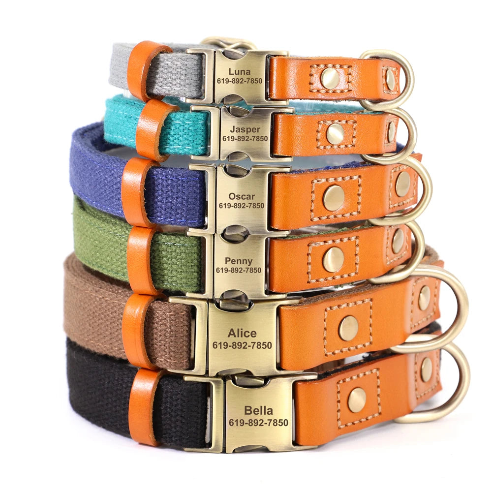 Personalized Adjustable Dog Collars