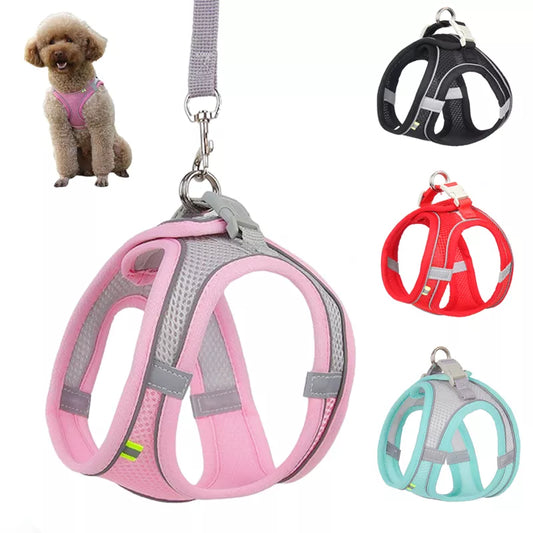 Comfort Harness For Small Dogs