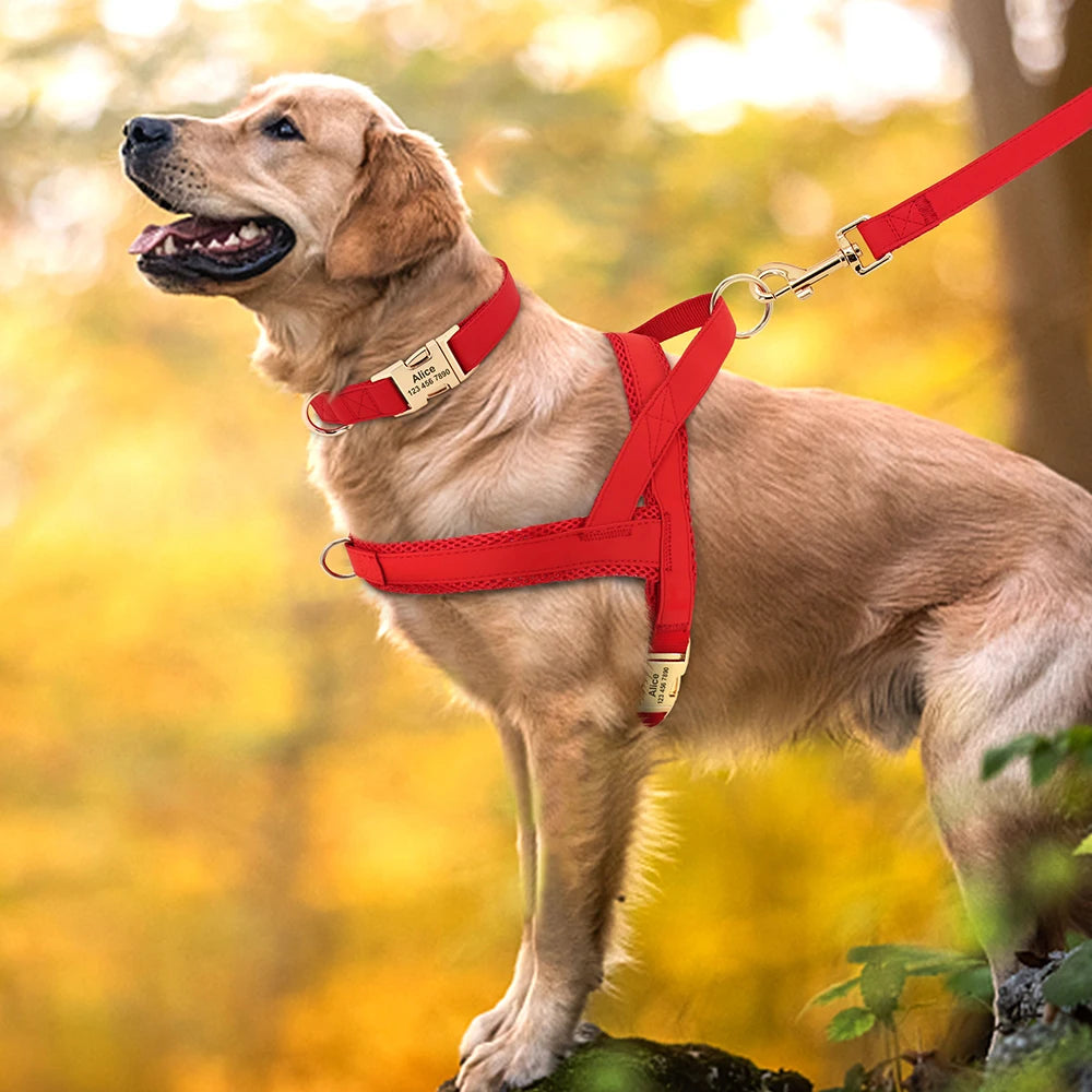 Personalized No Pull Dog Harness
