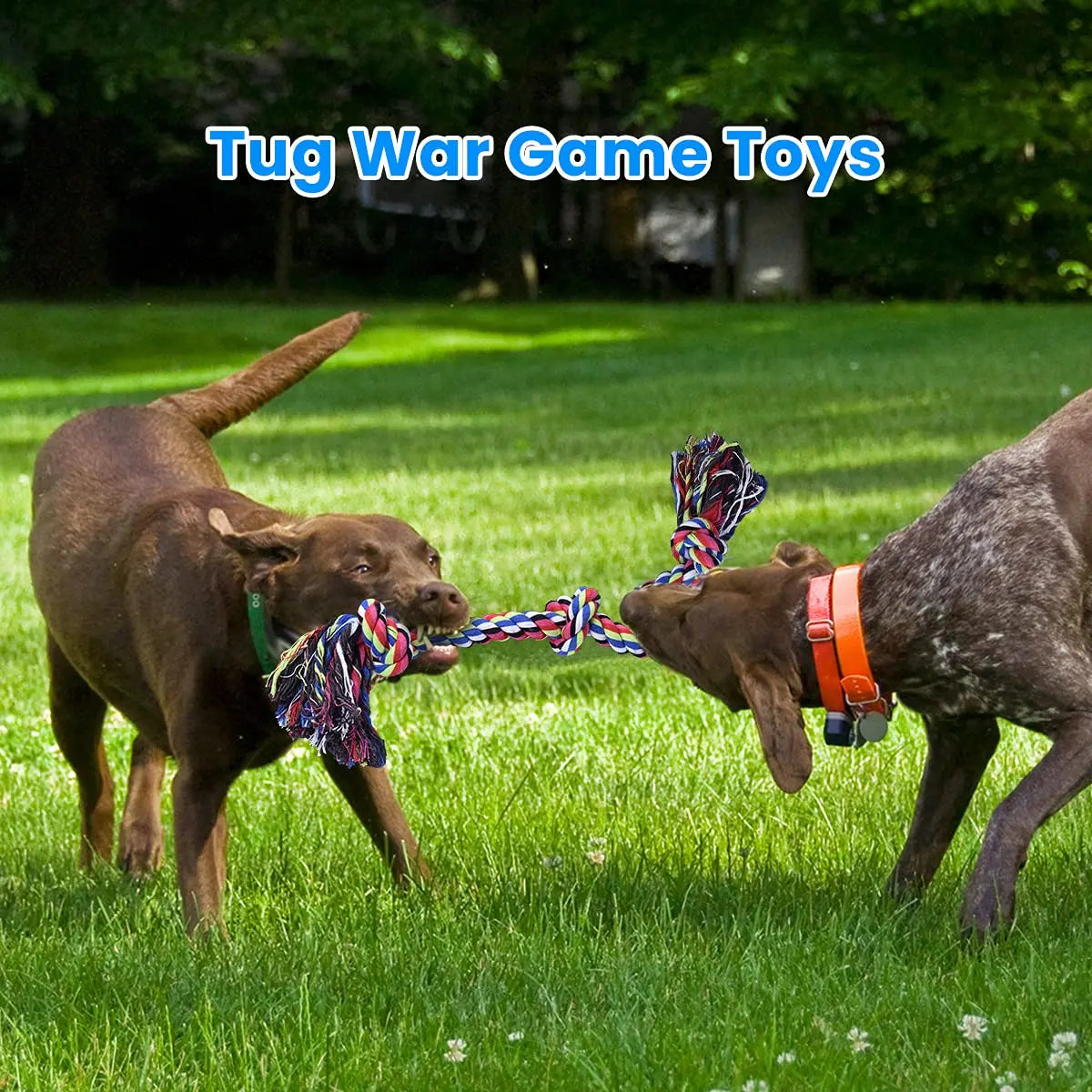 Rope Toys For Large & Medium Dog