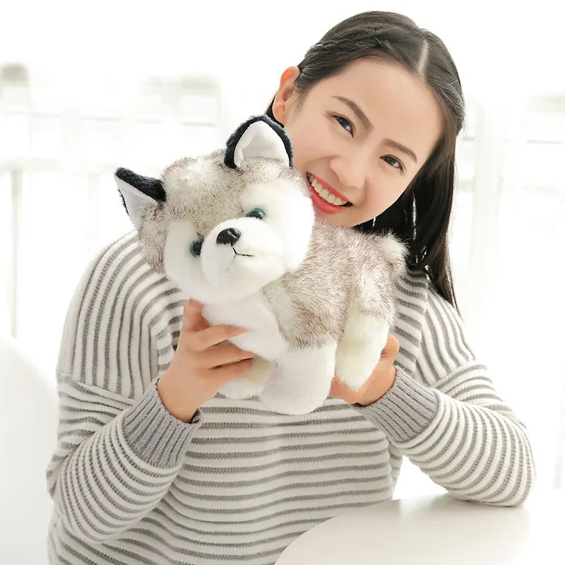 Husky Dog Plush Toy