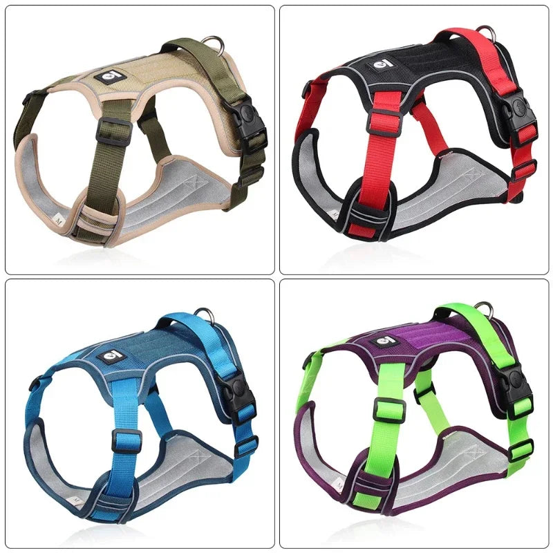 Dog Training Harness